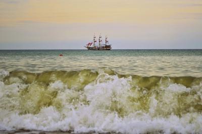 Прикрепленное изображение: _CSC2980.JPG